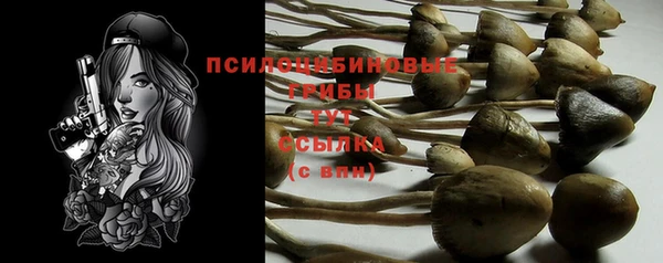 твердый Баксан