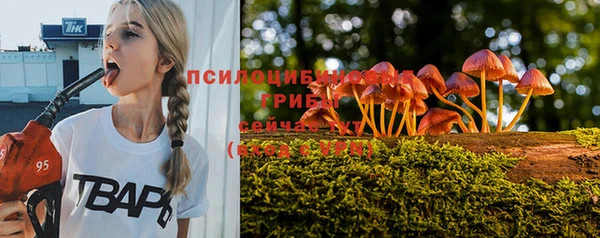 твердый Баксан