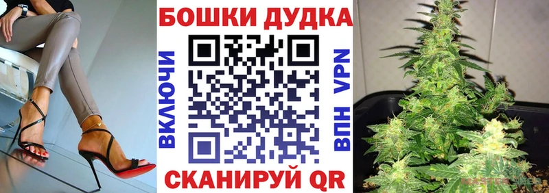kraken ONION  Нововоронеж  Канабис ГИДРОПОН 